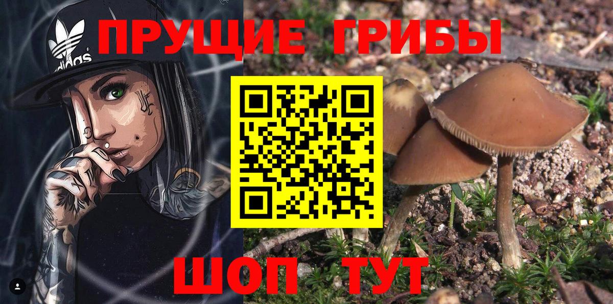 Галлюциногенные грибы мицелий Казань