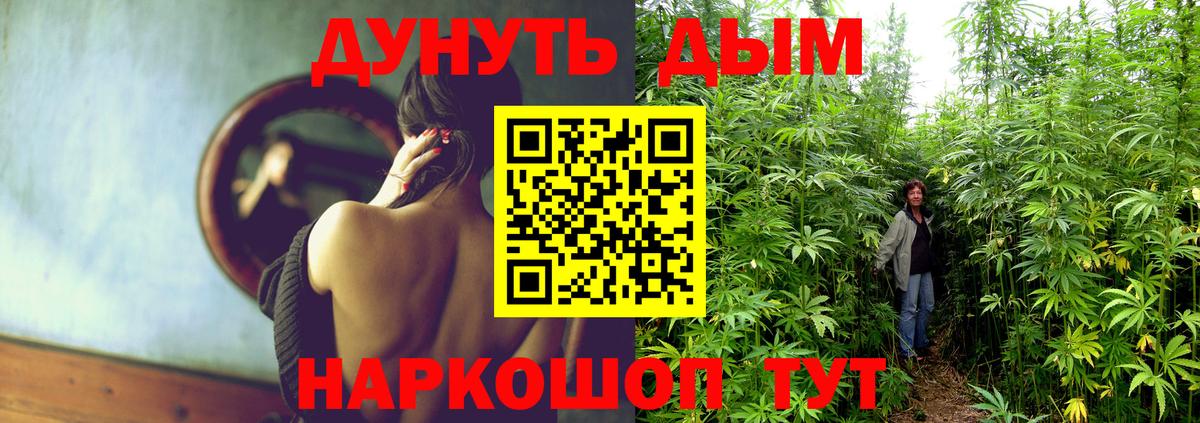 Шишки марихуана MAZAR  Вход с VPN  Канабис Amnesia  Казань  Марихуана марихуана 